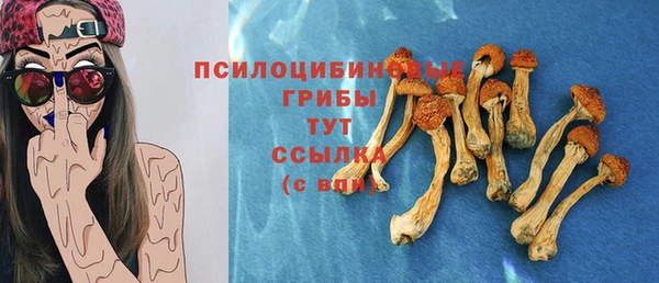 герыч Лагань