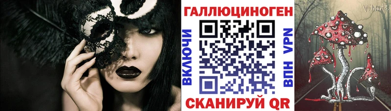 хочу наркоту  Новороссийск  Псилоцибиновые грибы Magic Shrooms 